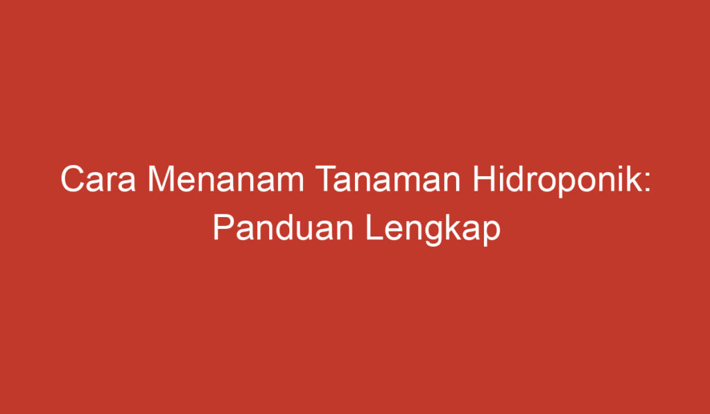 Cara Menanam Tanaman Hidroponik: Panduan Lengkap dan Praktis