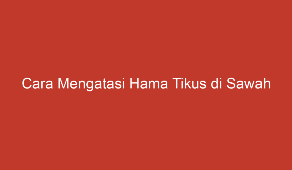 Cara Mengatasi Hama Tikus di Sawah