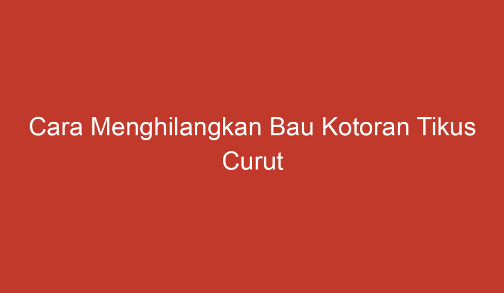 Cara Menghilangkan Bau Kotoran Tikus Curut