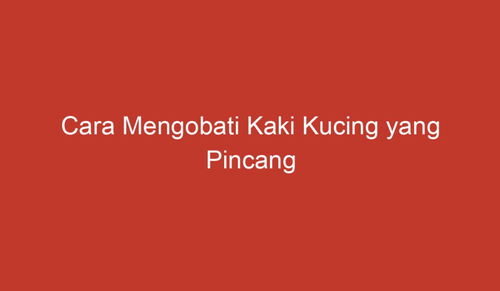 Cara Mengobati Kaki Kucing yang Pincang