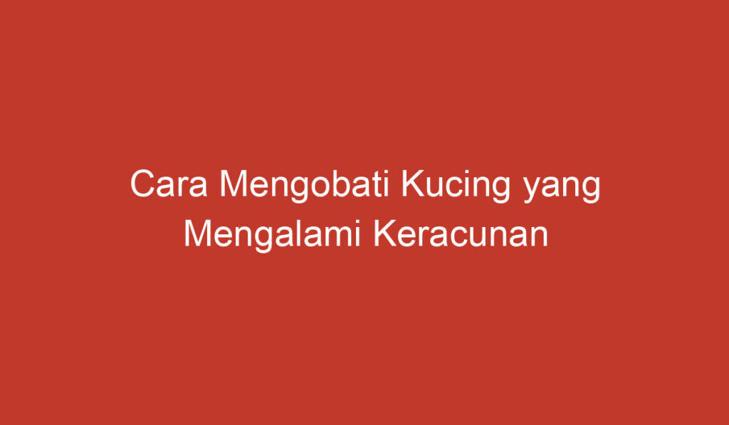 Cara Mengobati Kucing yang Mengalami Keracunan Racun Tikus