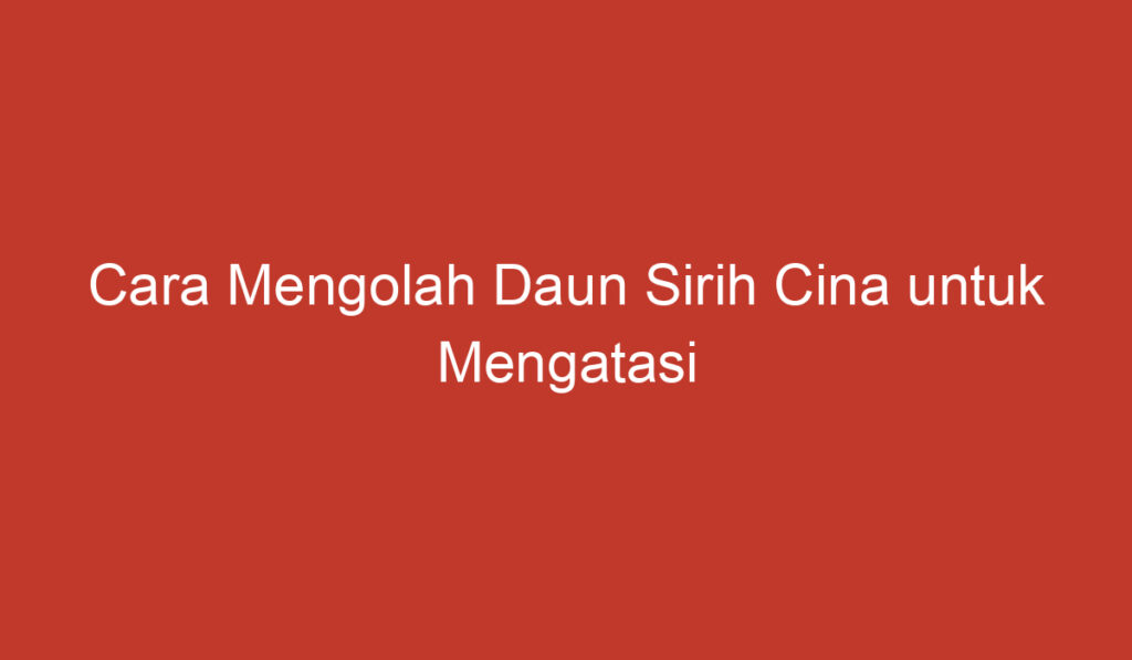 Cara Mengolah Daun Sirih Cina untuk Mengatasi Asam Urat