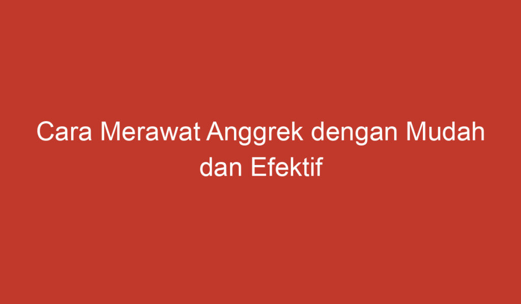 Cara Merawat Anggrek dengan Mudah dan Efektif