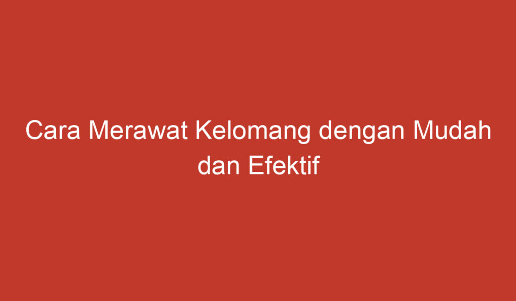 Cara Merawat Kelomang dengan Mudah dan Efektif