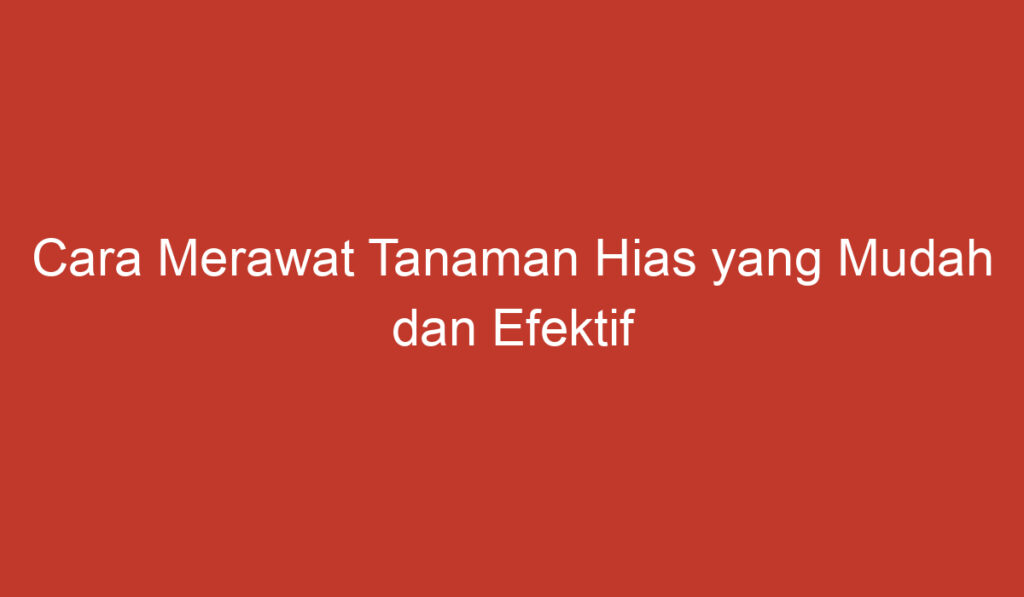 Cara Merawat Tanaman Hias yang Mudah dan Efektif