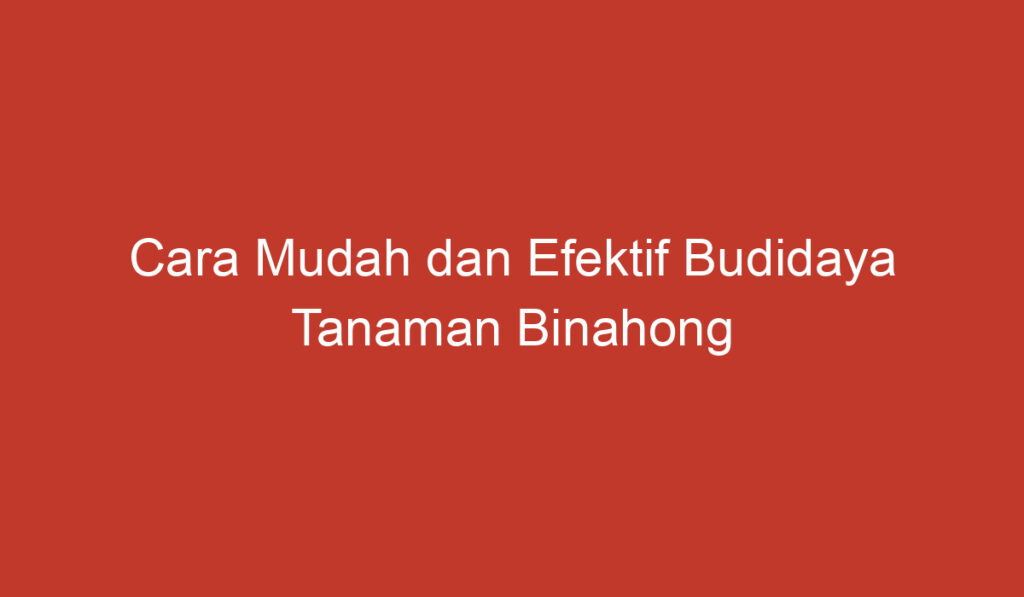 Cara Mudah dan Efektif Budidaya Tanaman Binahong di Rumah