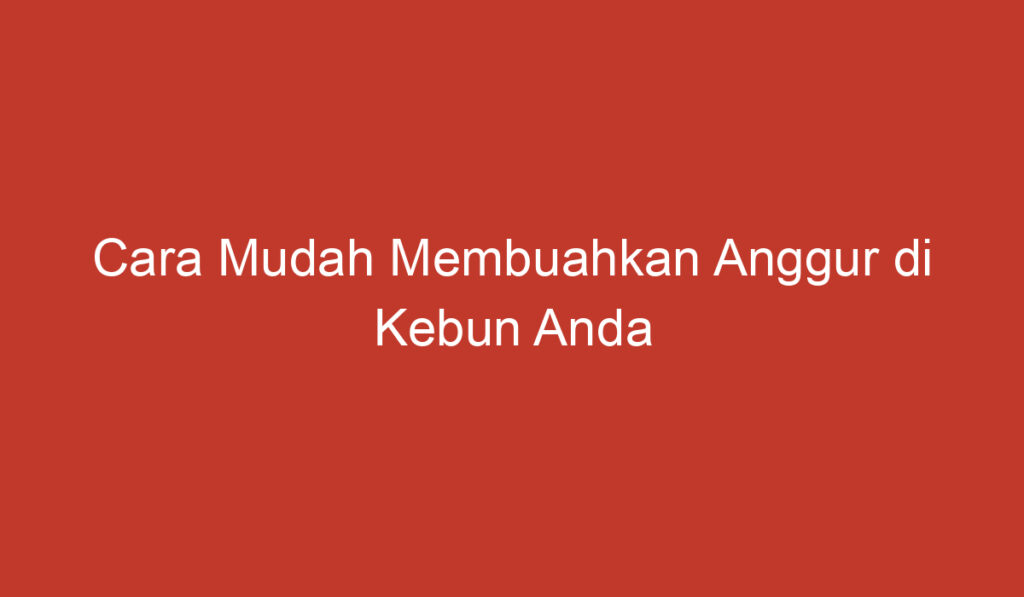 Cara Mudah Membuahkan Anggur di Kebun Anda