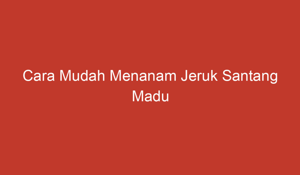 Cara Mudah Menanam Jeruk Santang Madu