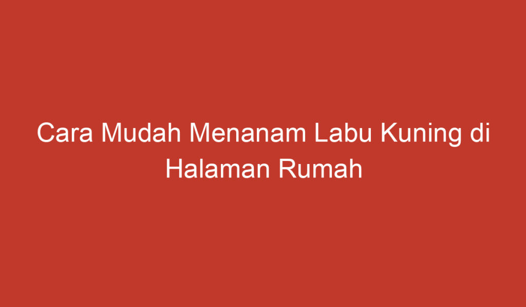 Cara Mudah Menanam Labu Kuning di Halaman Rumah