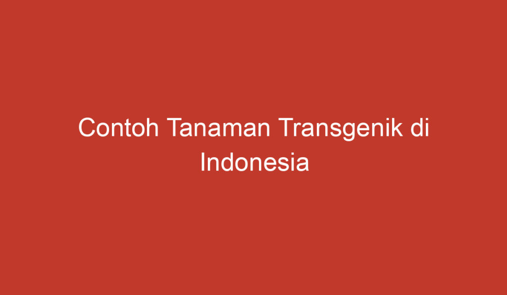 Contoh Tanaman Transgenik di Indonesia