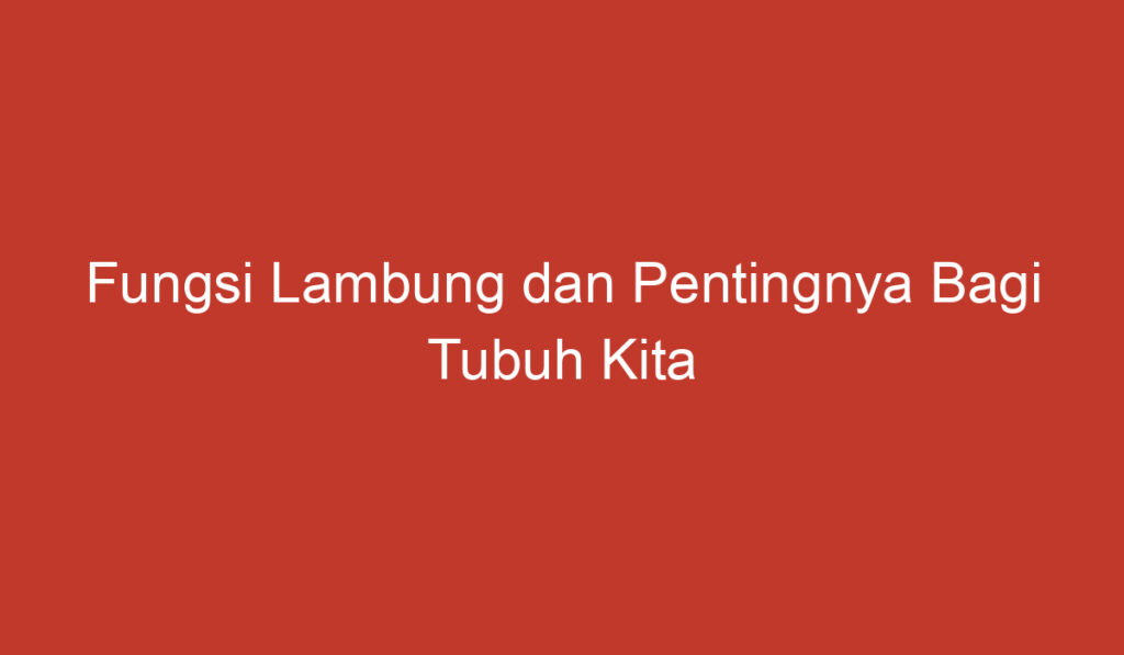 Fungsi Lambung dan Pentingnya Bagi Tubuh Kita