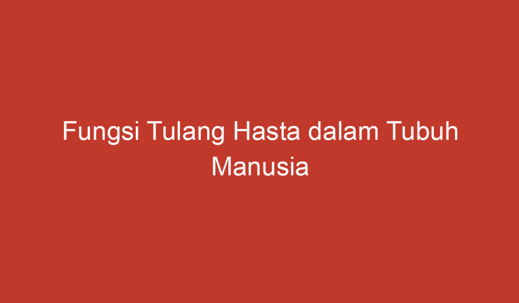 Fungsi Tulang Hasta dalam Tubuh Manusia