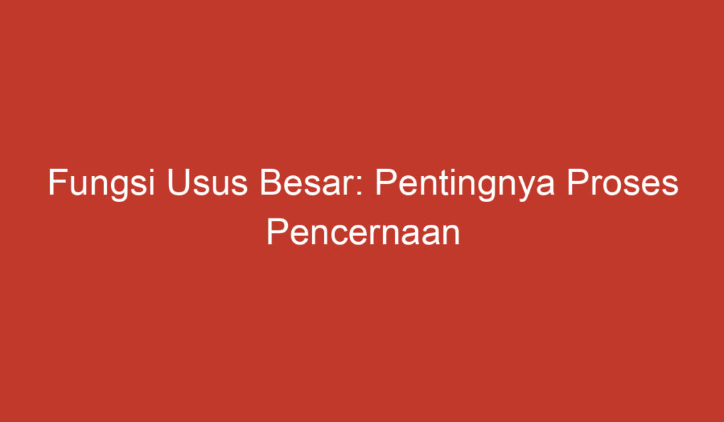 Fungsi Usus Besar: Pentingnya Proses Pencernaan dan Penyerapan Nutrisi