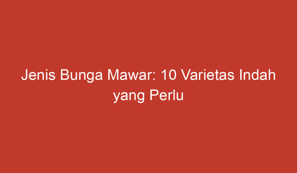 Jenis Bunga Mawar: 10 Varietas Indah yang Perlu Anda Ketahui