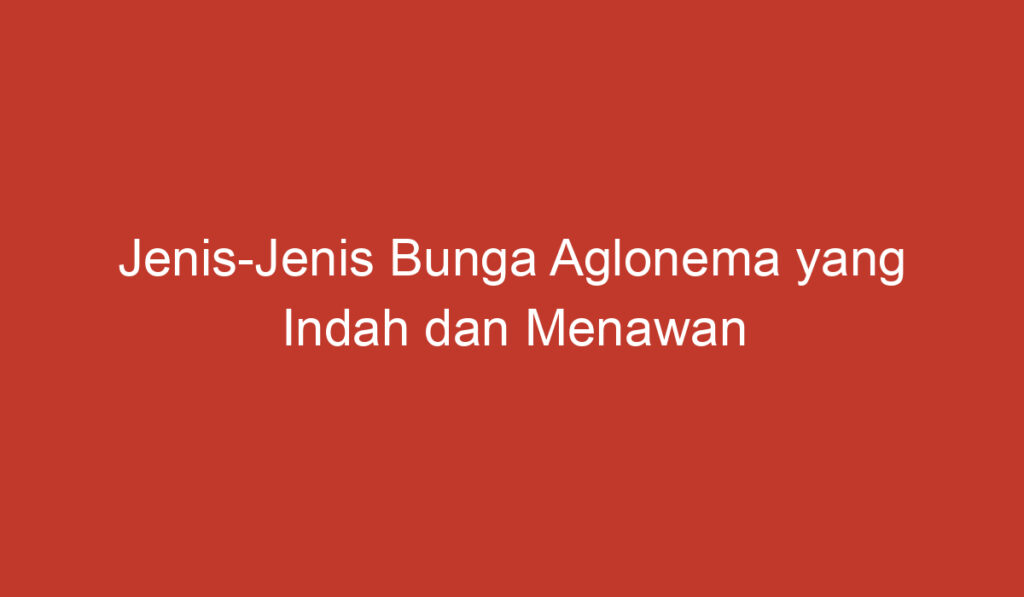 Jenis Jenis Bunga Aglonema yang Indah dan Menawan