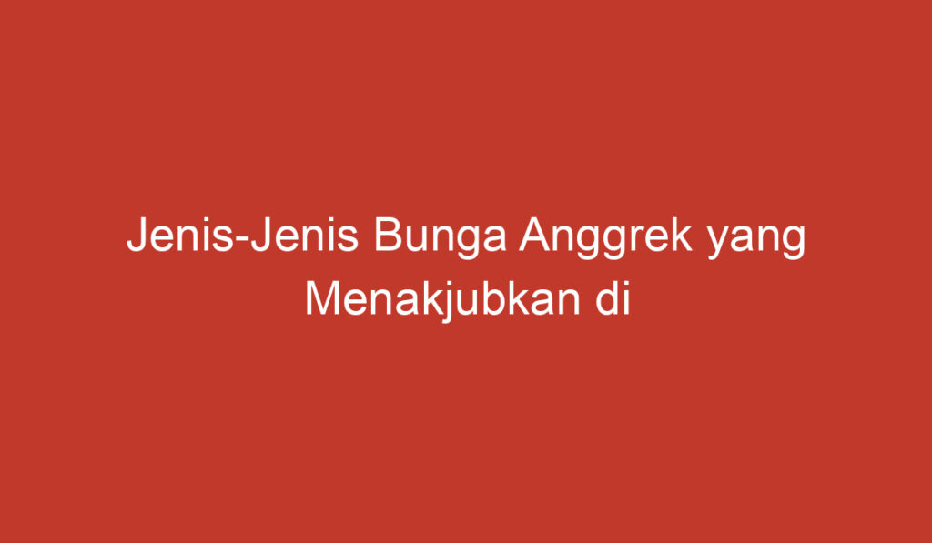 Jenis Jenis Bunga Anggrek yang Menakjubkan di Indonesia