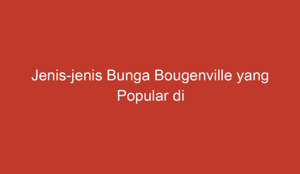 Jenis jenis Bunga Bougenville yang Popular di Indonesia