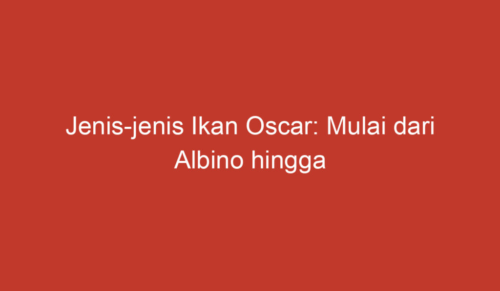 Jenis jenis Ikan Oscar: Mulai dari Albino hingga Tiger Oscar