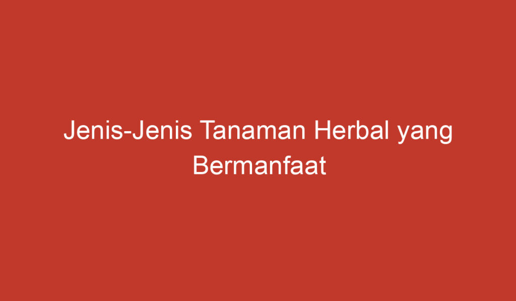 Jenis Jenis Tanaman Herbal yang Bermanfaat