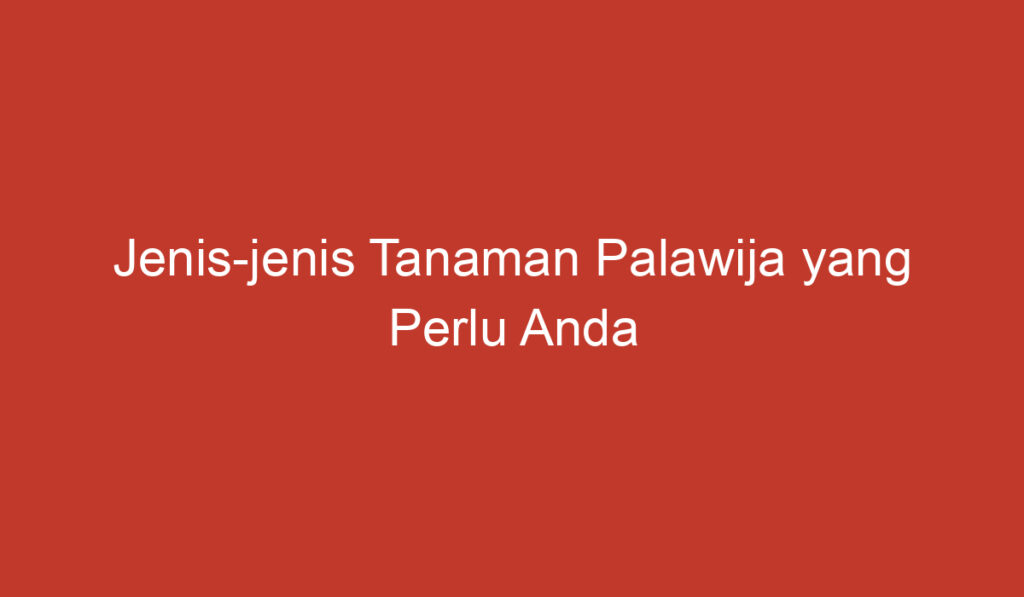 Jenis jenis Tanaman Palawija yang Perlu Anda Ketahui