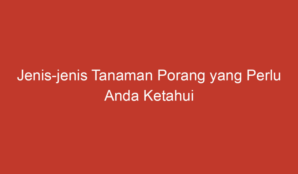 Jenis jenis Tanaman Porang yang Perlu Anda Ketahui