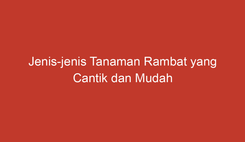 Jenis jenis Tanaman Rambat yang Cantik dan Mudah Tumbuh