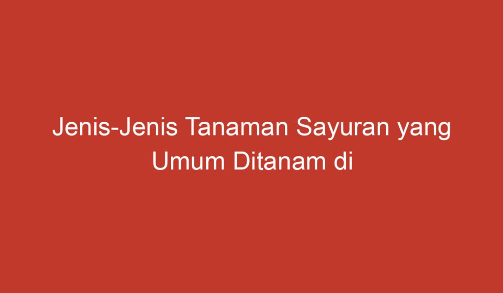 Jenis Jenis Tanaman Sayuran yang Umum Ditanam di Indonesia