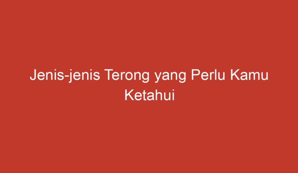 Jenis jenis Terong yang Perlu Kamu Ketahui