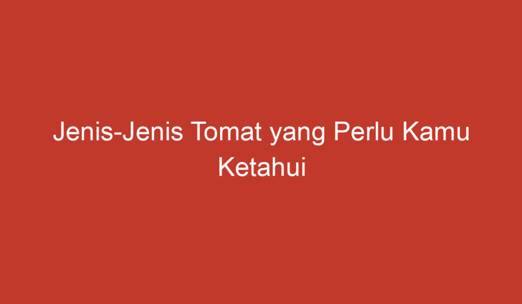 Jenis Jenis Tomat yang Perlu Kamu Ketahui