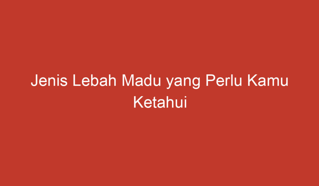 Jenis Lebah Madu yang Perlu Kamu Ketahui