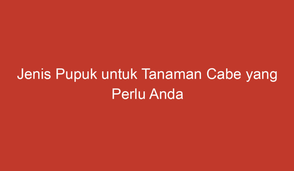 Jenis Pupuk untuk Tanaman Cabe yang Perlu Anda Ketahui