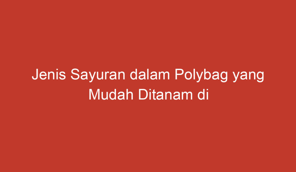 Jenis Sayuran dalam Polybag yang Mudah Ditanam di Rumah