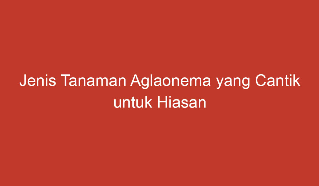 Jenis Tanaman Aglaonema yang Cantik untuk Hiasan Rumah Anda