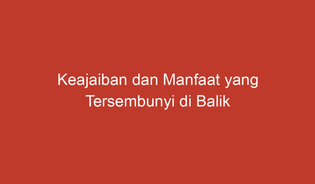 Keajaiban dan Manfaat yang Tersembunyi di Balik Bunga Mawar