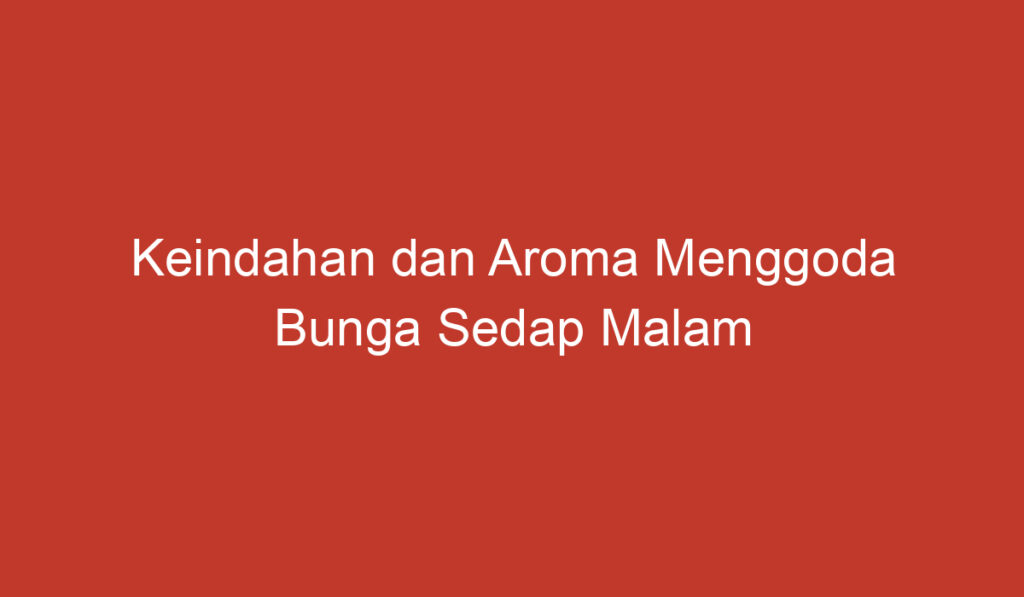 Keindahan dan Aroma Menggoda Bunga Sedap Malam