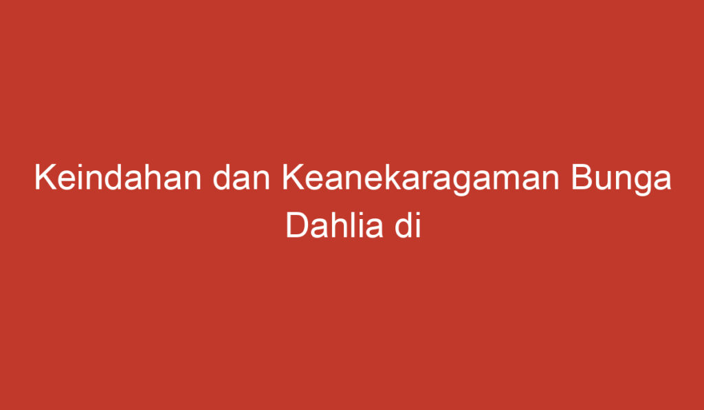 Keindahan dan Keanekaragaman Bunga Dahlia di Indonesia