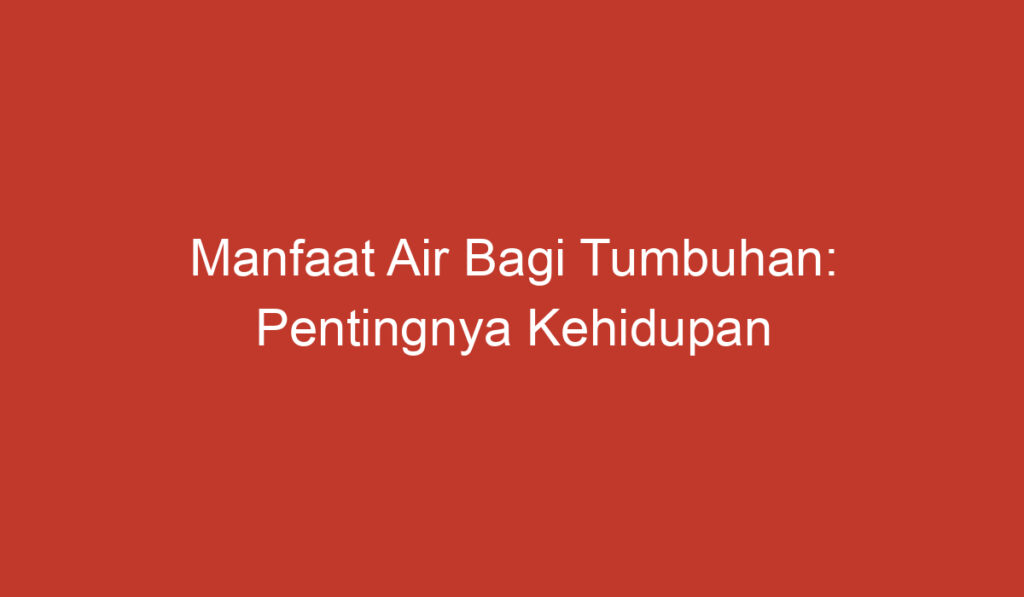 Manfaat Air Bagi Tumbuhan: Pentingnya Kehidupan untuk Pertumbuhan dan Fotosintesis