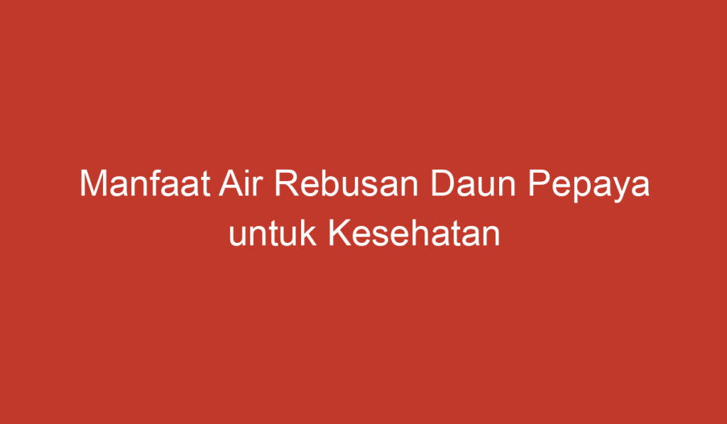 Manfaat Air Rebusan Daun Pepaya untuk Kesehatan dan Kecantikan