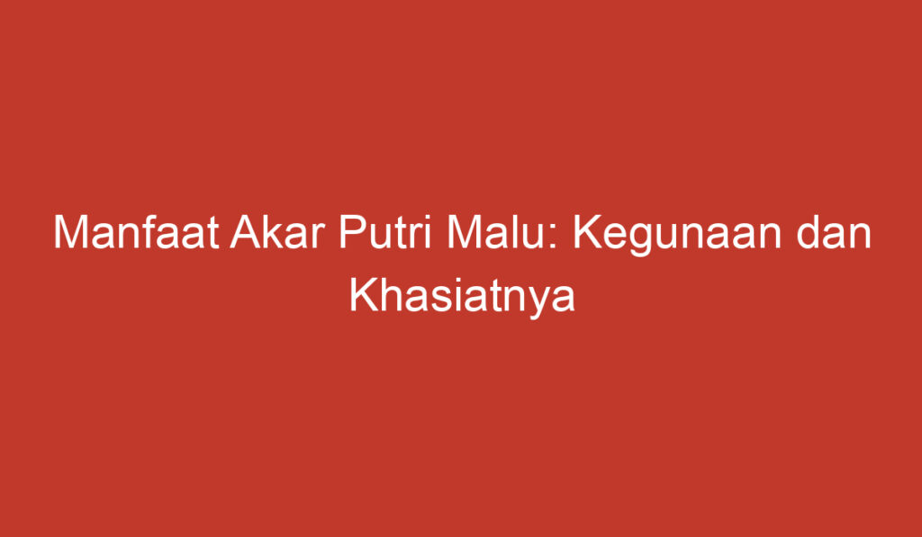 Manfaat Akar Putri Malu: Kegunaan dan Khasiatnya untuk Kesehatan