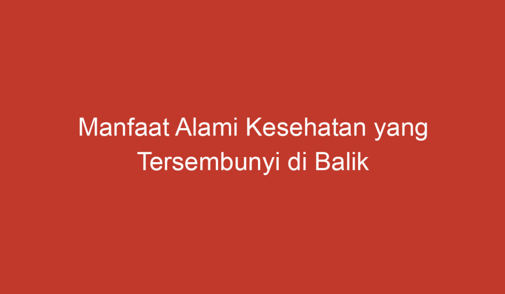 Manfaat Alami Kesehatan yang Tersembunyi di Balik Kacang Walnut