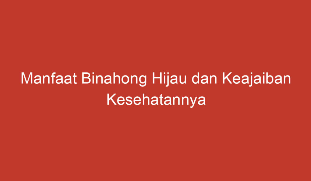 Manfaat Binahong Hijau dan Keajaiban Kesehatannya