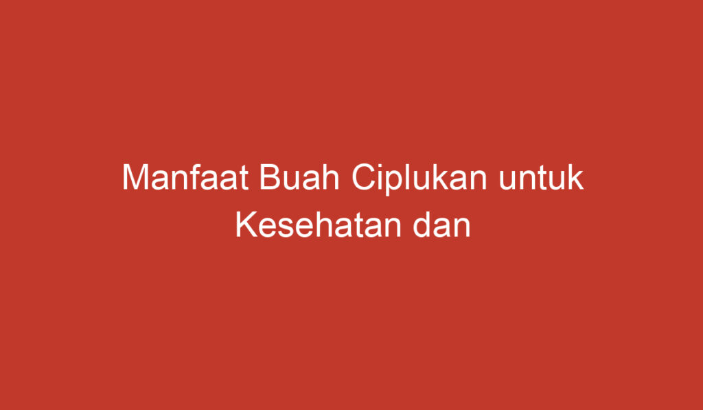 Manfaat Buah Ciplukan untuk Kesehatan dan Kebugaran