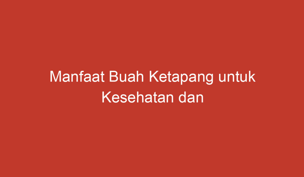 Manfaat Buah Ketapang untuk Kesehatan dan Kecantikan