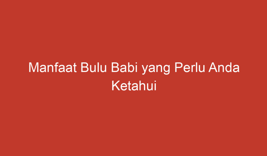 Manfaat Bulu Babi yang Perlu Anda Ketahui