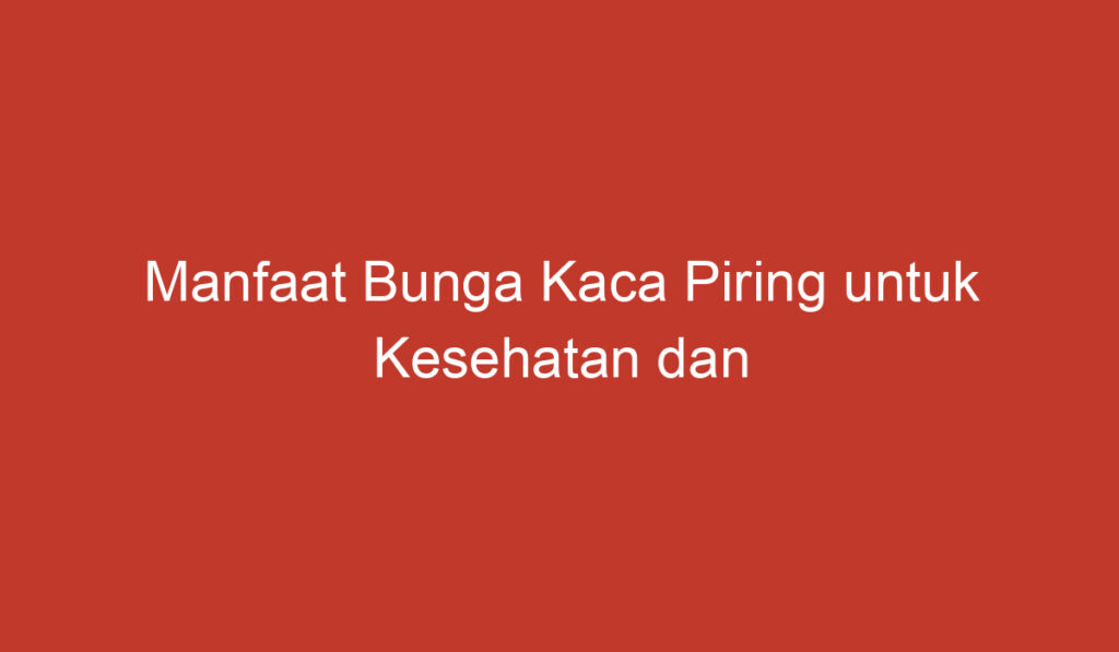 Manfaat Bunga Kaca Piring untuk Kesehatan dan Keindahan Rumah Anda