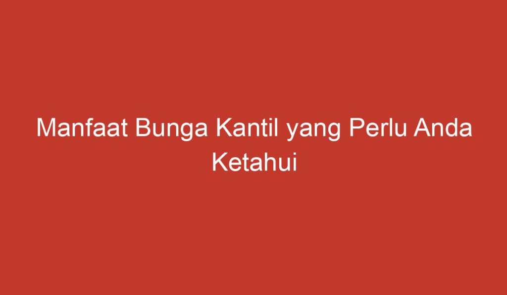 Manfaat Bunga Kantil yang Perlu Anda Ketahui