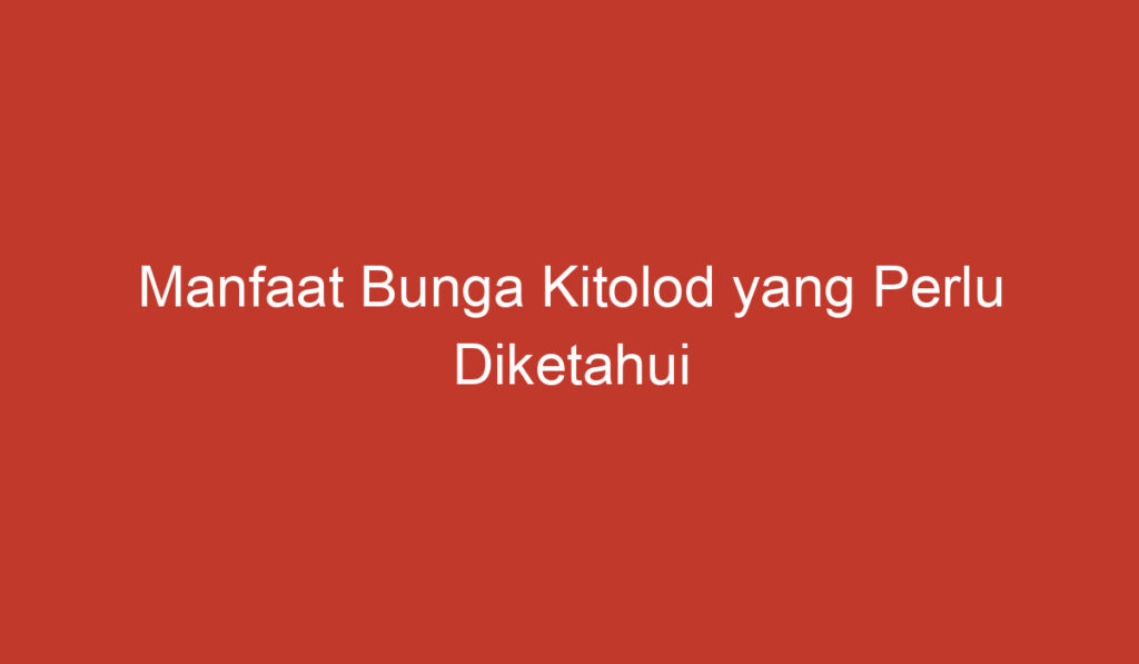 Manfaat Bunga Kitolod yang Perlu Diketahui