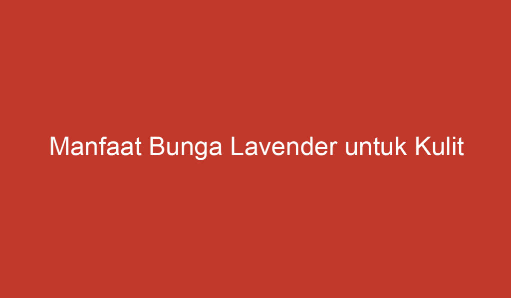 Manfaat Bunga Lavender untuk Kulit