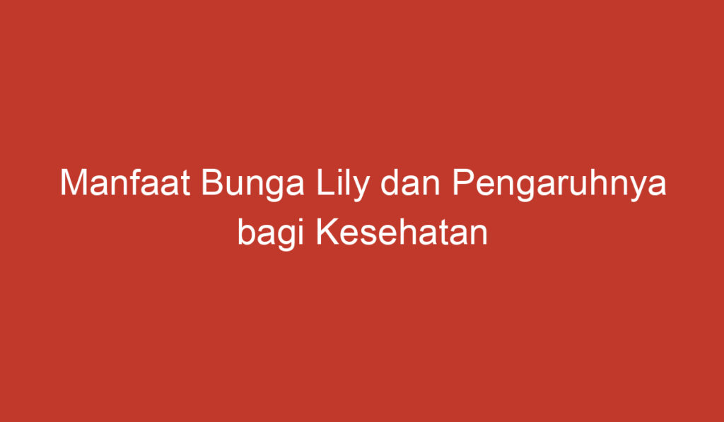 Manfaat Bunga Lily dan Pengaruhnya bagi Kesehatan dan Kecantikan