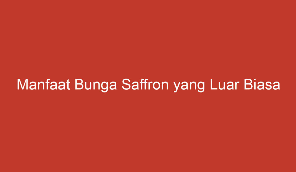 Manfaat Bunga Saffron yang Luar Biasa